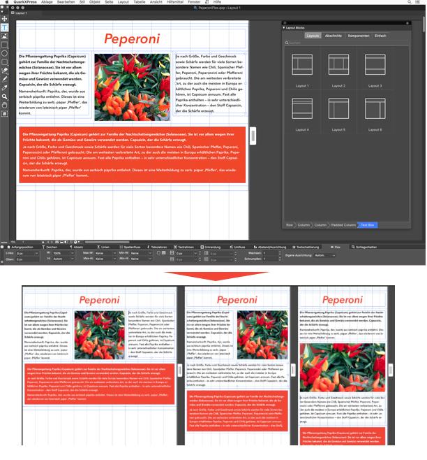 20191112 quarkxpress2019 flex layout
